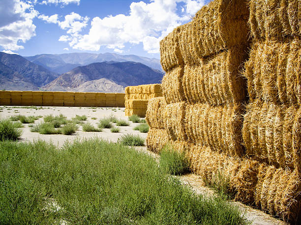 baler twine