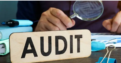 NDIS audit support