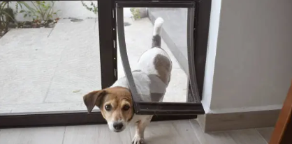 pet doors Adelaide